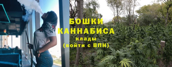 тгк Богородицк