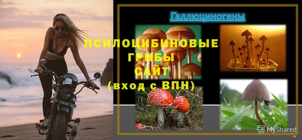 тгк Богородицк